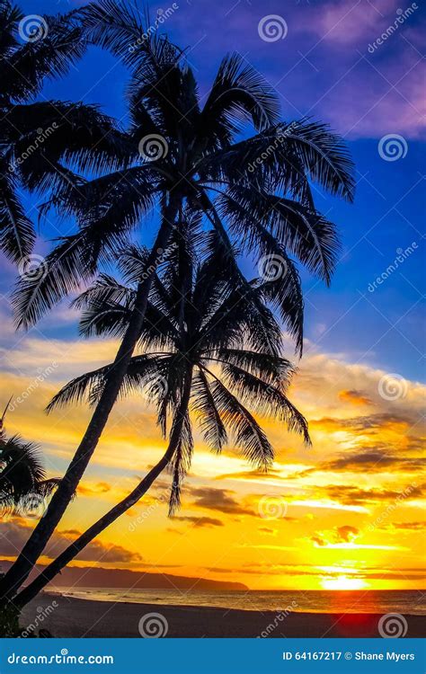Hawaiian Sunset Stock Image Image Of Beach Hawaiiansunset 64167217
