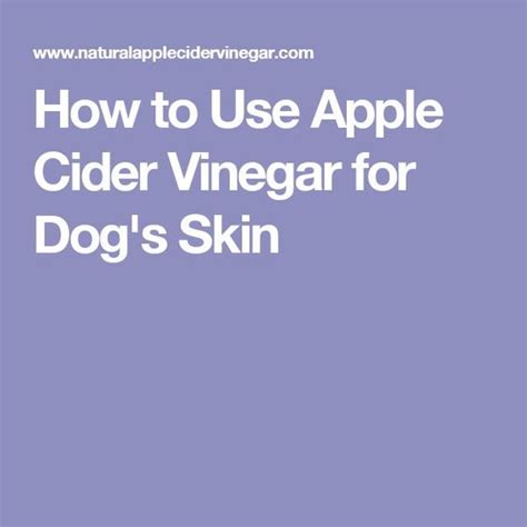 Using Apple Cider Vinegar For Dogs Skin Natural Itchy Skin Treatment