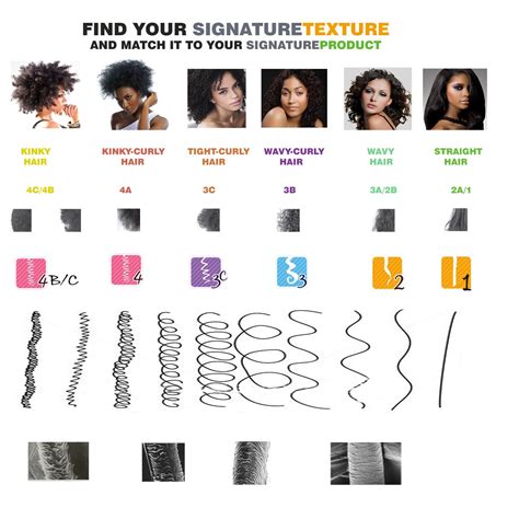 How To Determine Hair Type On Natural Hair Hair Type Chart Natural