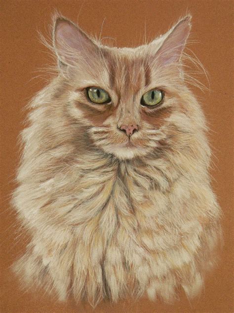 Pencilpix By Sue Clinker 1802 Cat In Pastel On Sennelier Pastel Card