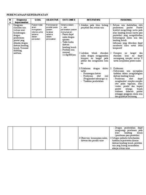 Perencanaan Keperawatan Bph Dan Mph Pdf