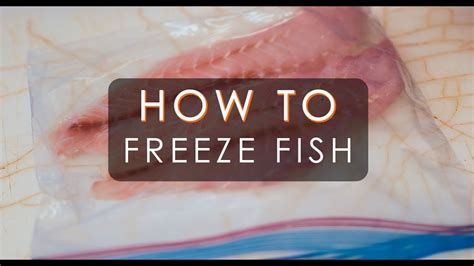 How To Freeze Fish At Home A Fishmongers Guide Youtube