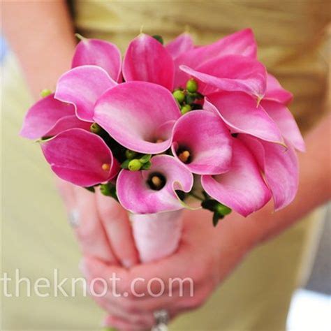 Real Weddings A Traditional Wedding In Ipswich Ma Pink Calla