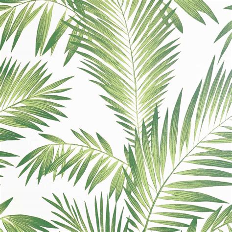 Arthouse Peel And Stick Tropical Palm Green Wallpape Wilko