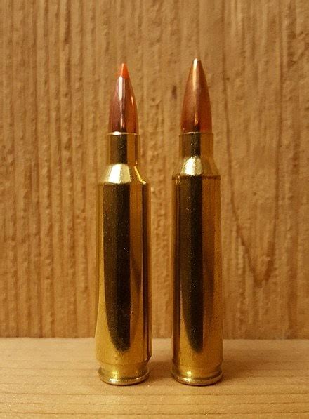 30 Nosler Vs 300 Win Mag Ballistics And Uses Gun Mann