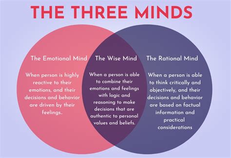 Emotional Mind Rational Mind And Wise Mind Beyondpsychub