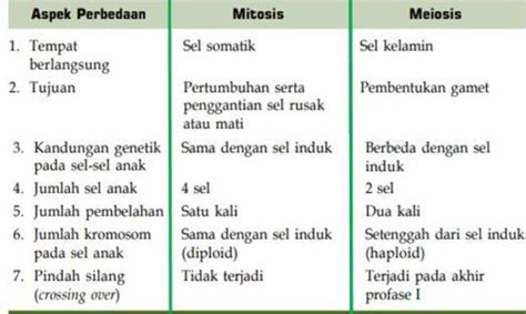 Perbedaan Mitosis Dan Meiosis Dalam Bentuk Tabel Unamed 130130 The