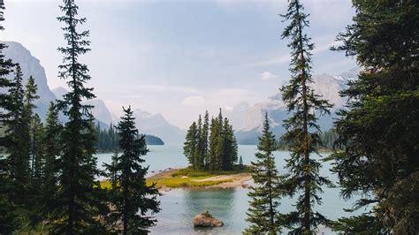 Nature Forest Landscape Island Lake Mountain Pine Trees Trees Wallpaper