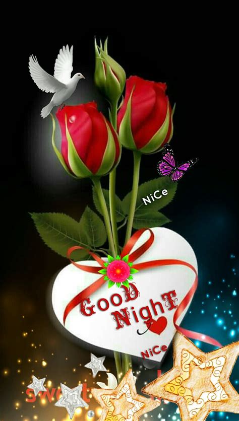 Romantic Good Night Roses