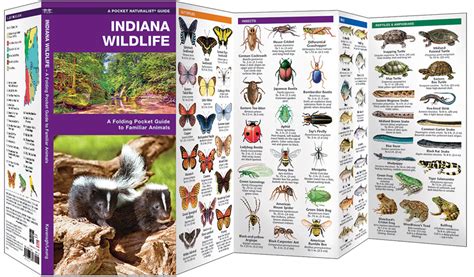 Indiana Wildlife Pocket Naturalist Guide
