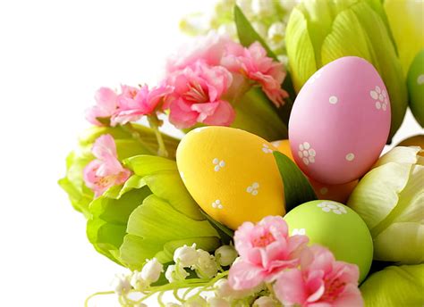 Easter Eggs And Tulip Flowers Leaves Flowers Eggs Spring Easter