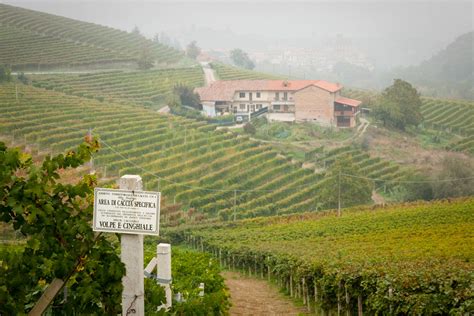 A Vineyards Story Barolos Ravera Piedmont Italy Opening A Bottle
