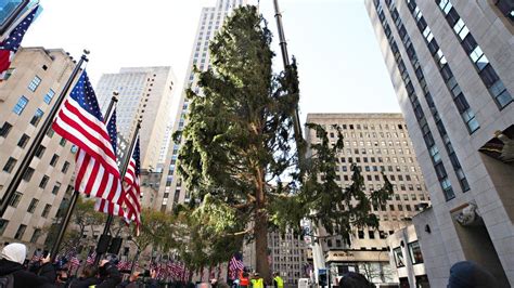 Rockefeller Centers Famous Christmas Tree On Brand For 2020 Bbc News