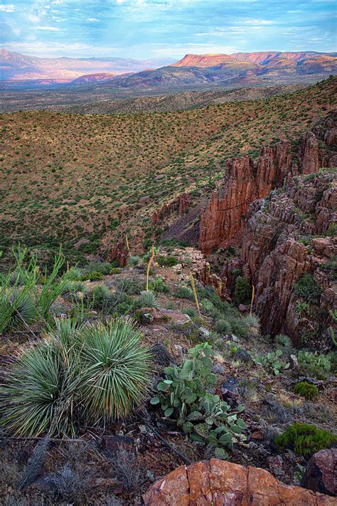 Sunrise Over Canyons In Central Arizona Vertical Photograph By Dave