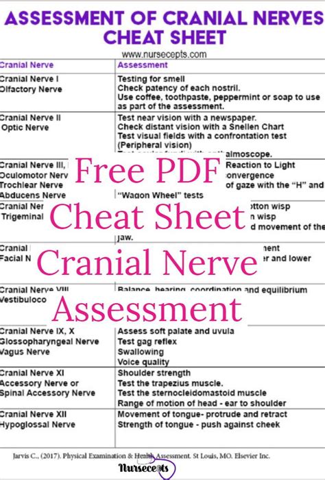 Cranial Nerve Neuro Assessment Cheat Sheet School Nursing Bank2home