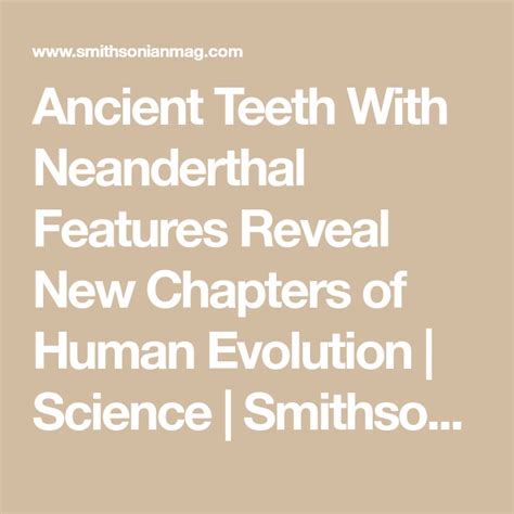 Ancient Teeth With Neanderthal Features Reveal New Chapters Of Human