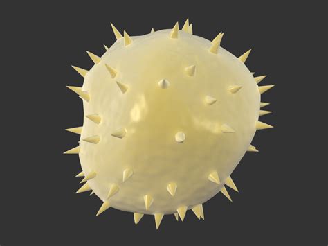 3d White Blood Cells Red Turbosquid 1392789