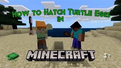 Minecraft Turtle Eggs How To Hatch