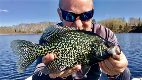Fishing For Early Summer Crappie Fishing Tips Youtube