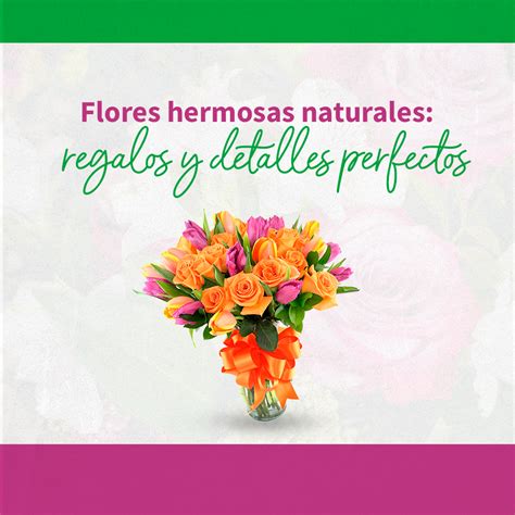 Detalle Imagen Imagenes De Flores Con Frases Hermosas Thptletrongtan Edu Vn