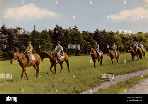 Newmarket Heath Hi Res Stock Photography And Images Alamy