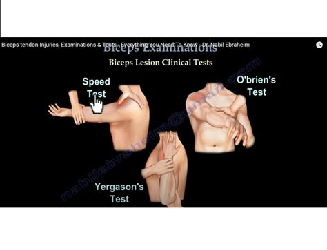 Biceps Examination Orthopaedicprinciples Com