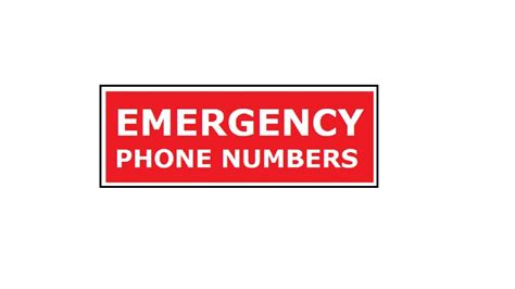 We did not find results for: EMERGENCY NUMBERS IN SALALAH - Beautiful Salalah