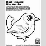 Coloring Birdorable Downloads Bird Throated Warbler Cute sketch template