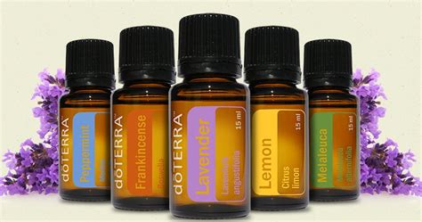 How to become a doterra wellness advocate. DoTerra Essential Oils - Price Comparison, Review & Products