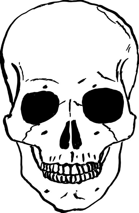 Cartoon Skull Clipart Free Downloadable Images