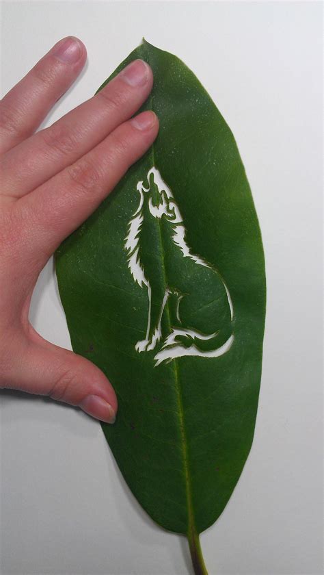 Wolf Leaf Carving Dry Leaf Art Leaf Art Diy Leave Art Leaf Projects