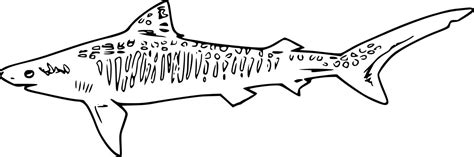 Swimming Sand Tiger Shark Coloring Pages Coloring Cool
