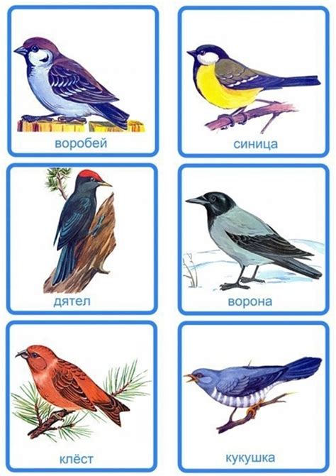 Карточки с животными и птицами для детей Все для детского сада