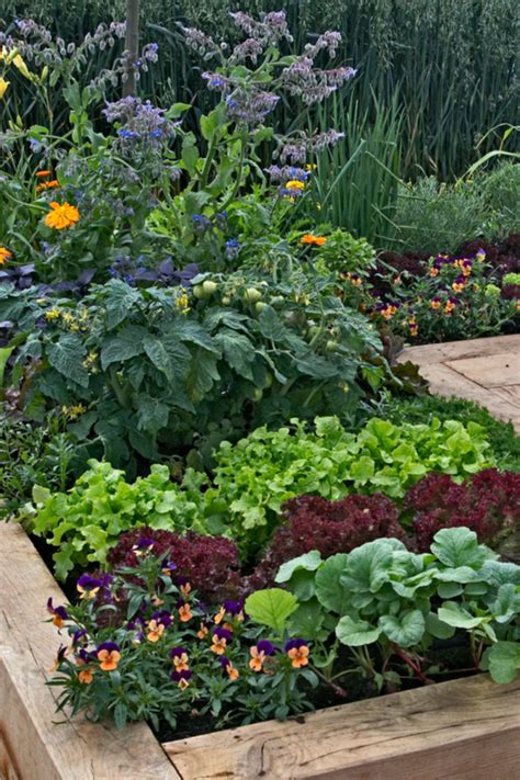 How To Create A Patio Vegetable Garden With Planters And Pots