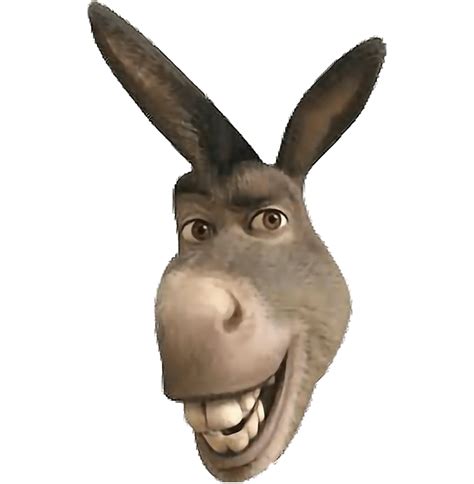 Donkey Png Donkey Head Face Donkey Clipart Images Fre