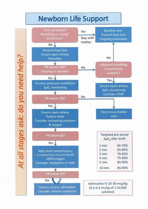 Neonatal Resuscitation Flow Chart