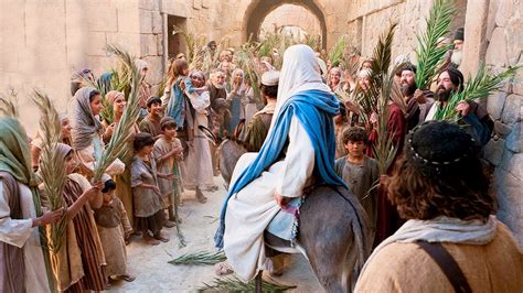 More In Heaven And Earth A Palm Sunday Sermon What Makes For True Joy