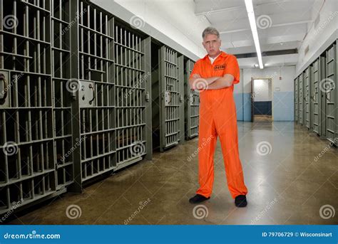 Convict, Prisoner, Criminal, Jailbird, Prison Stock Image - Image of