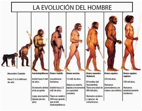 Site Rialdo10 Home Evolucion Del Hombre