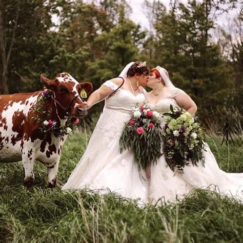 We Had Our Big Fat Lesbian Wedding Yesterday Featuring Our Moo Tron Of