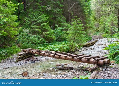 Wooden Bridge Over The River Stock Photo Image Of Park Outdoors