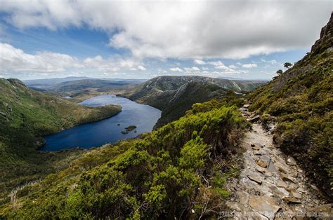 The Path To Cradle Mountain In The Cradle Mountain Lake St Clair