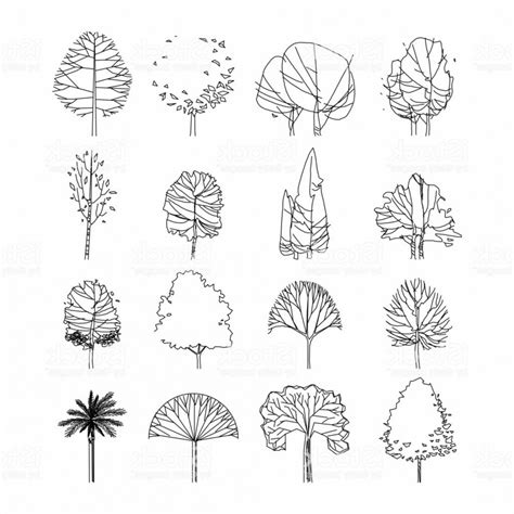 Architecture Tree Vector At Collection Of