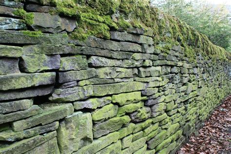 Dry Stone Wall Lichen And Moss Albert Freeman Flickr