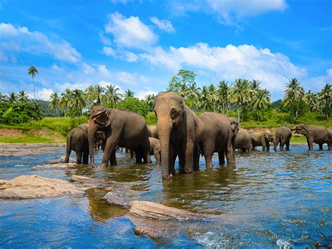 Top 10 Places You Must Visit In Sri Lanka With Photos