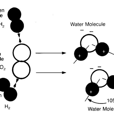 Tetrahedral Arrangement Of Water Molecules Download Scientific Diagram