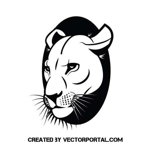 Lioness Vector Graphics Vector Graphics Vector Vector Illustration