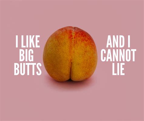 I Like Big Butts I Cannot Lie