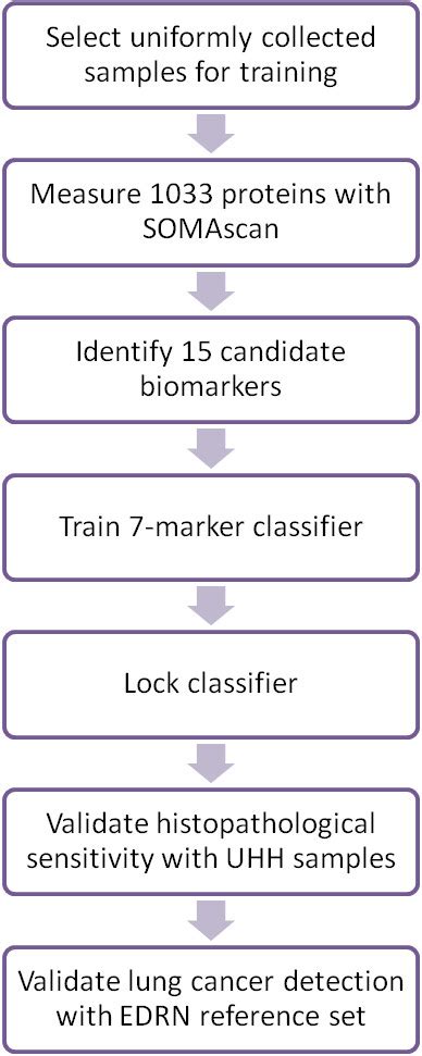 Study Flowchart For Biomarker Discovery And Validation Studies