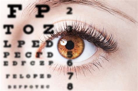 What Happens During An Eye Exam Hercules Optometric Group